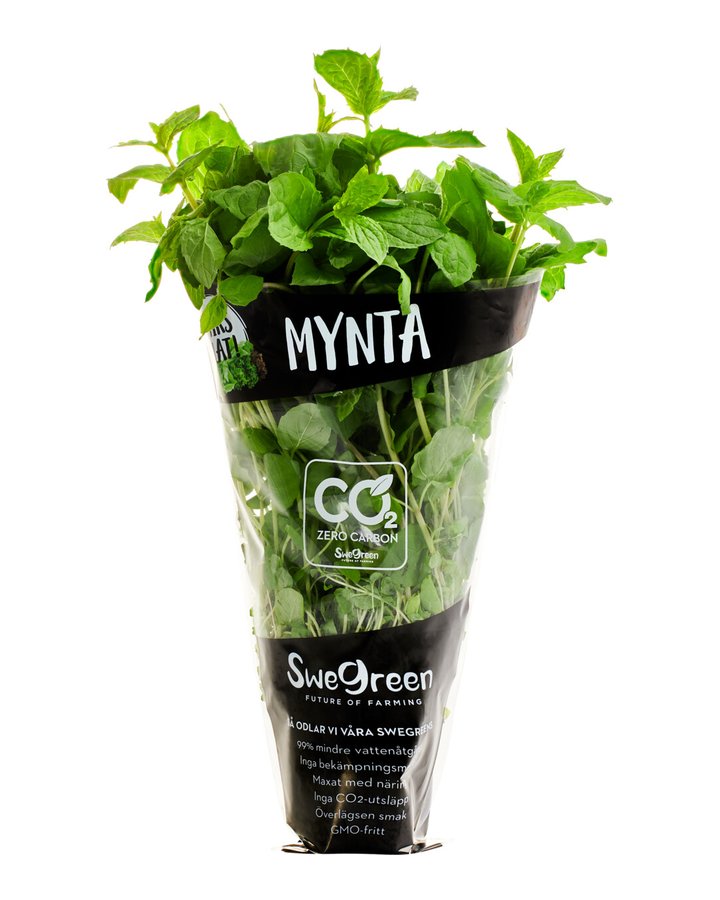 Mynta i Swegreens påse märkt Butiksodlat