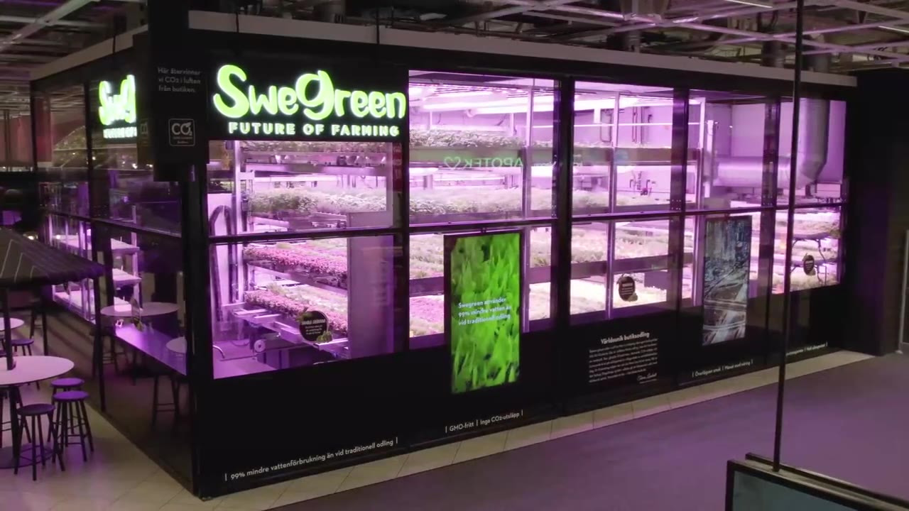 Swegreens butiksodling med skylten Future of farming