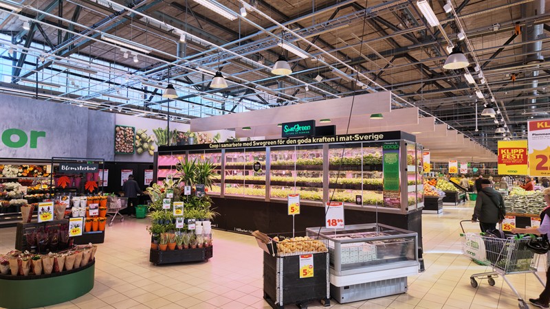 Swegreens butiksodling i en Stora Coop-butik