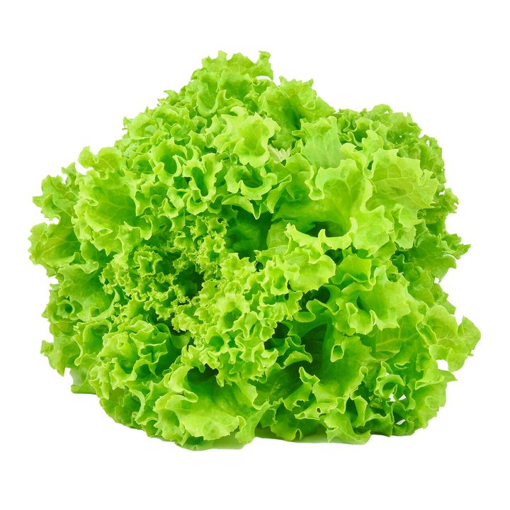 Lollo bionda
