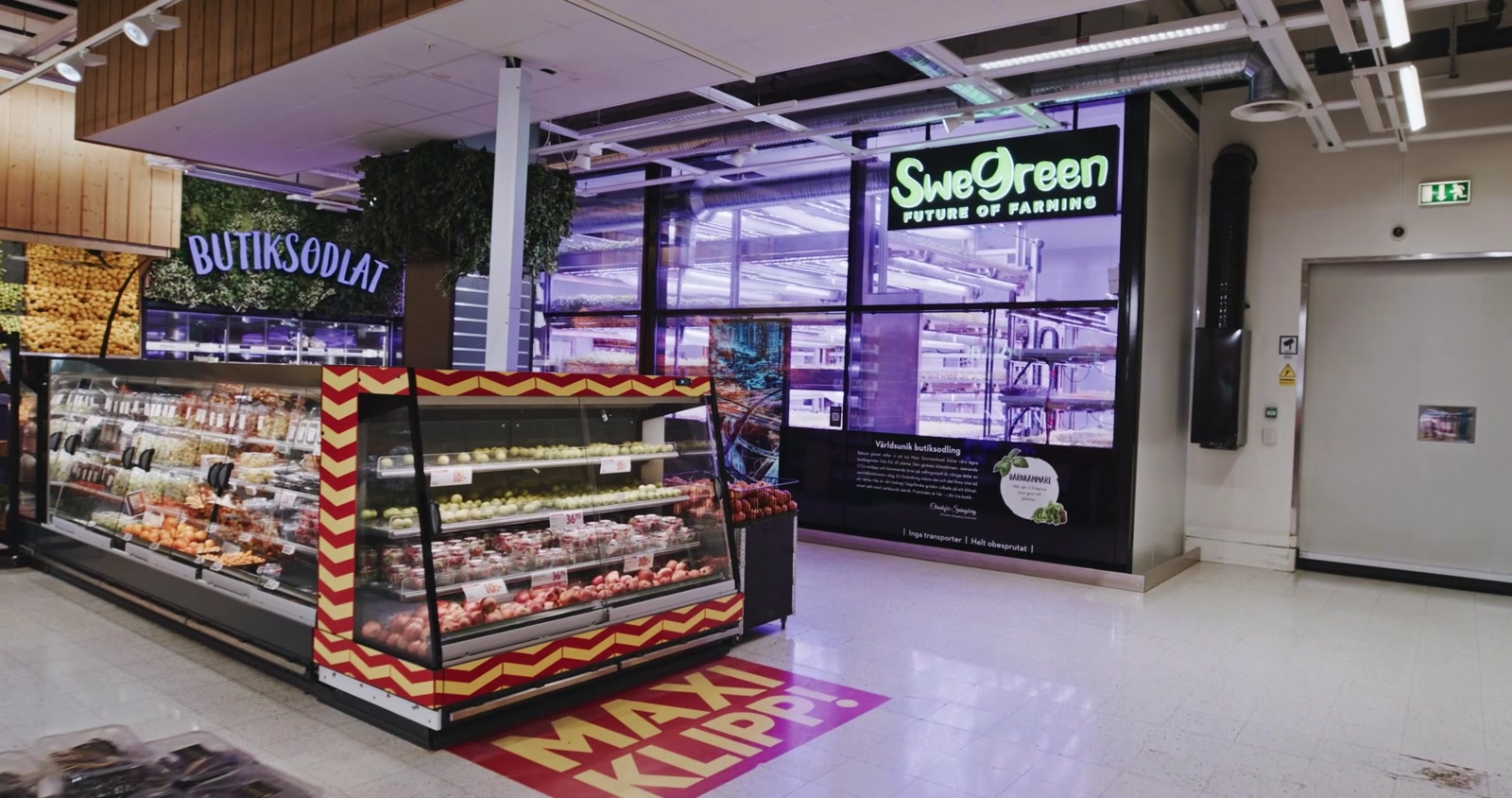 Swegreens odling bakom glas bredvid charkdisken på ICA Maxi Solna