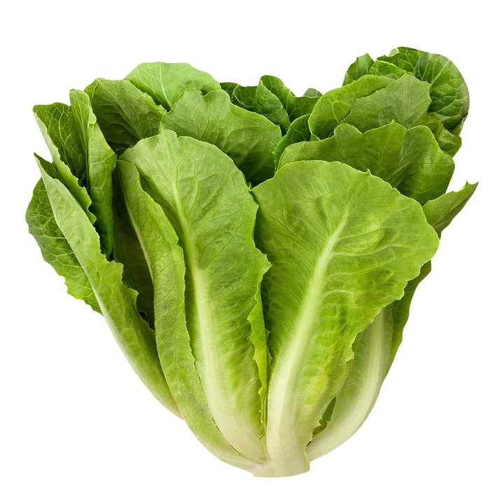 Romansallat