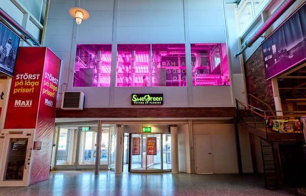 Freja installerad i entrétornet på Maxi ICA Stormarknad Skellefteå