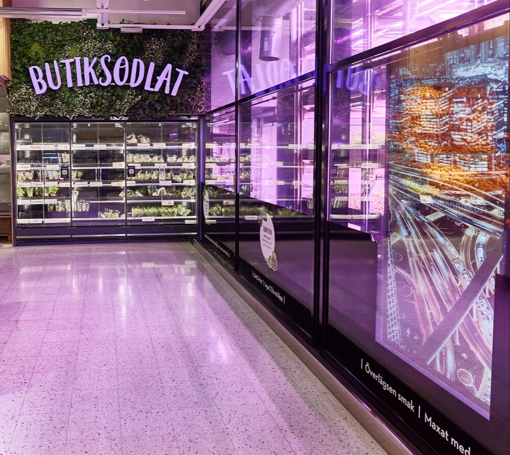 Butiksodlat-väggen och odlingens glasväggar längs gången på ICA Maxi Solna