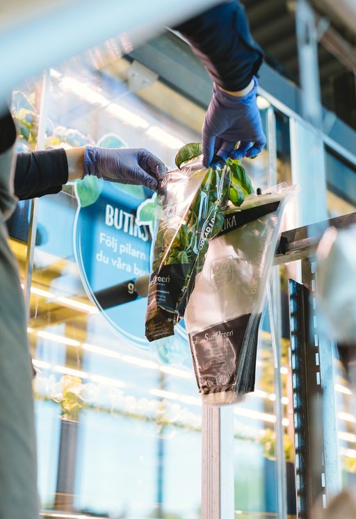 Butiksodlade örter packas i Swegreens förpackning