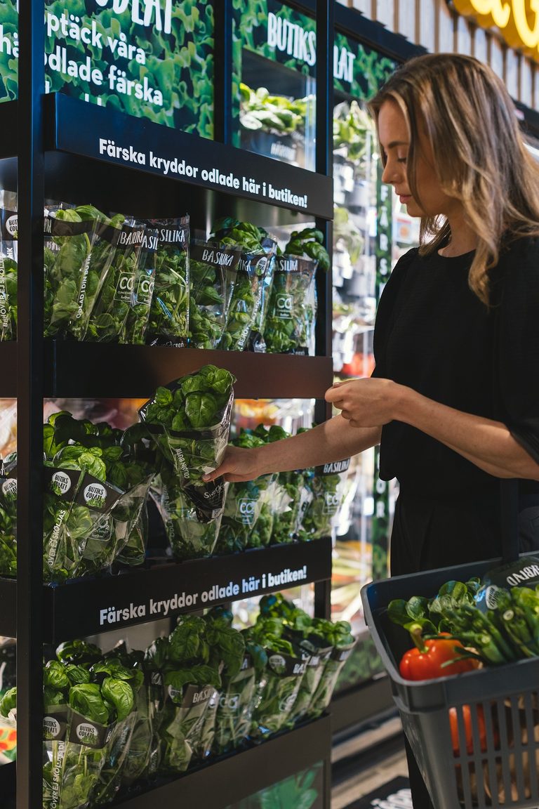 Medarbetare fyller på butiksodlade kryddor i en hylla med skylten Färska kryddor odlade här i butiken