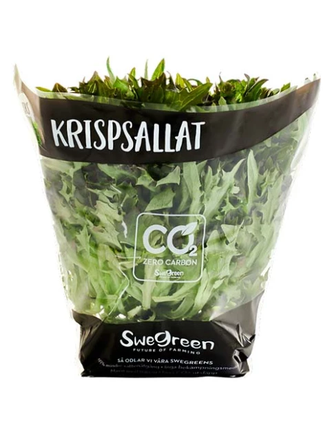 Krispsallat