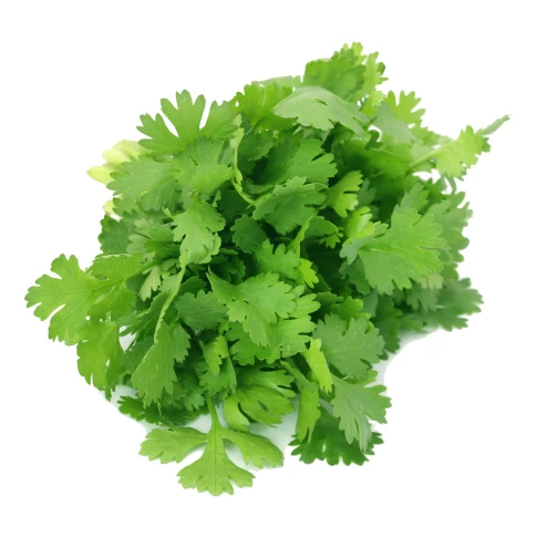 Koriander
