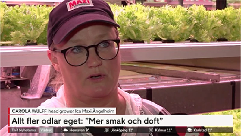 Tv4 angelholm 20260917