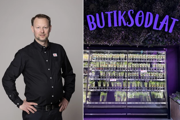 Jörgen Fors, Ica Kvantum Brunnshög