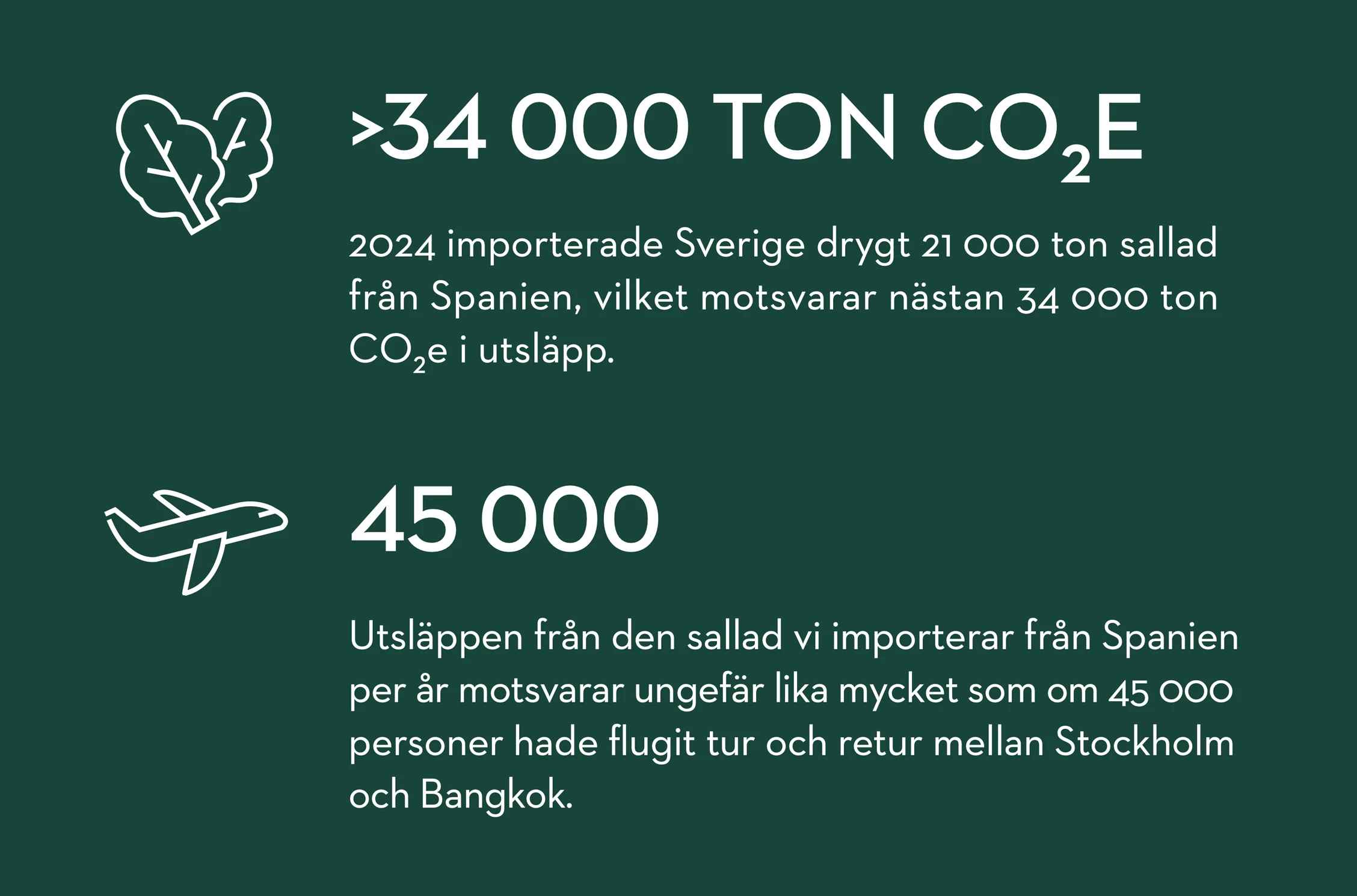 Artikel2 statistikruta
