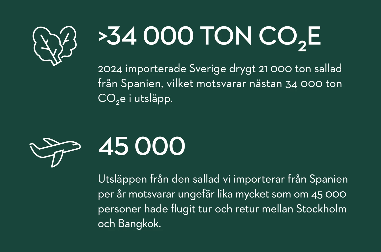 Artikel2 statistikruta