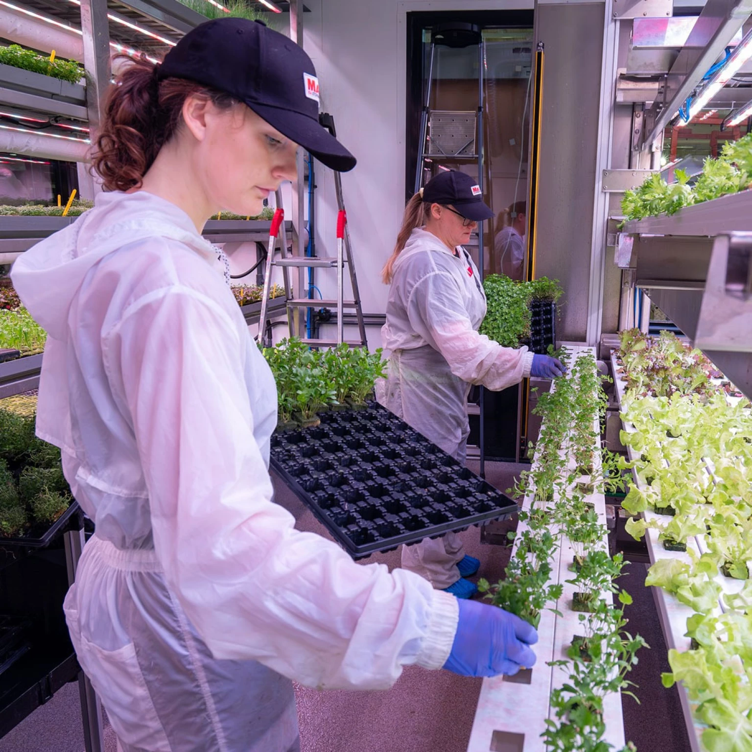 Swegreen året runt pruduktion