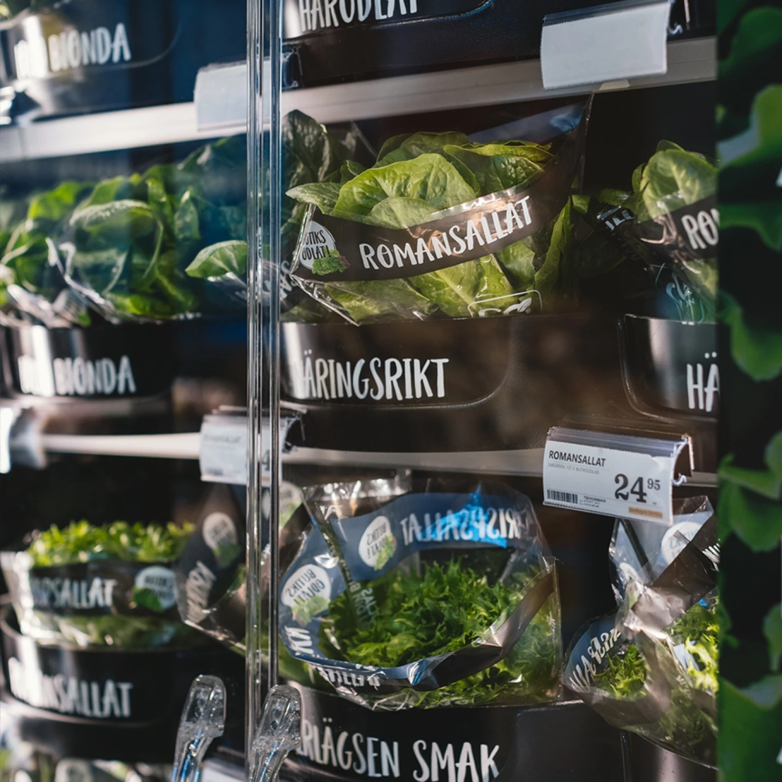 1080 1080 maximal försäljning hylla