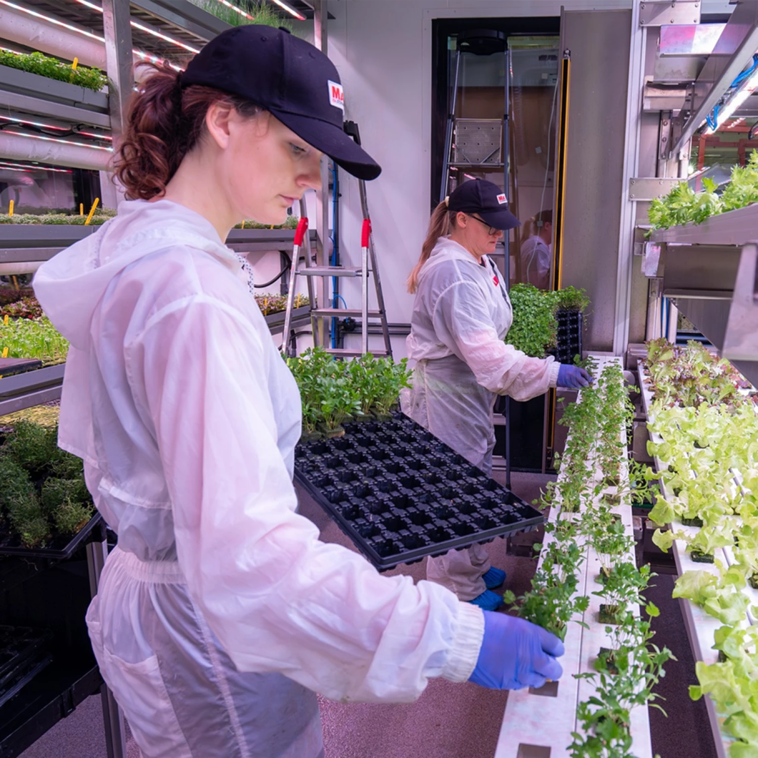 Plug play utbildning