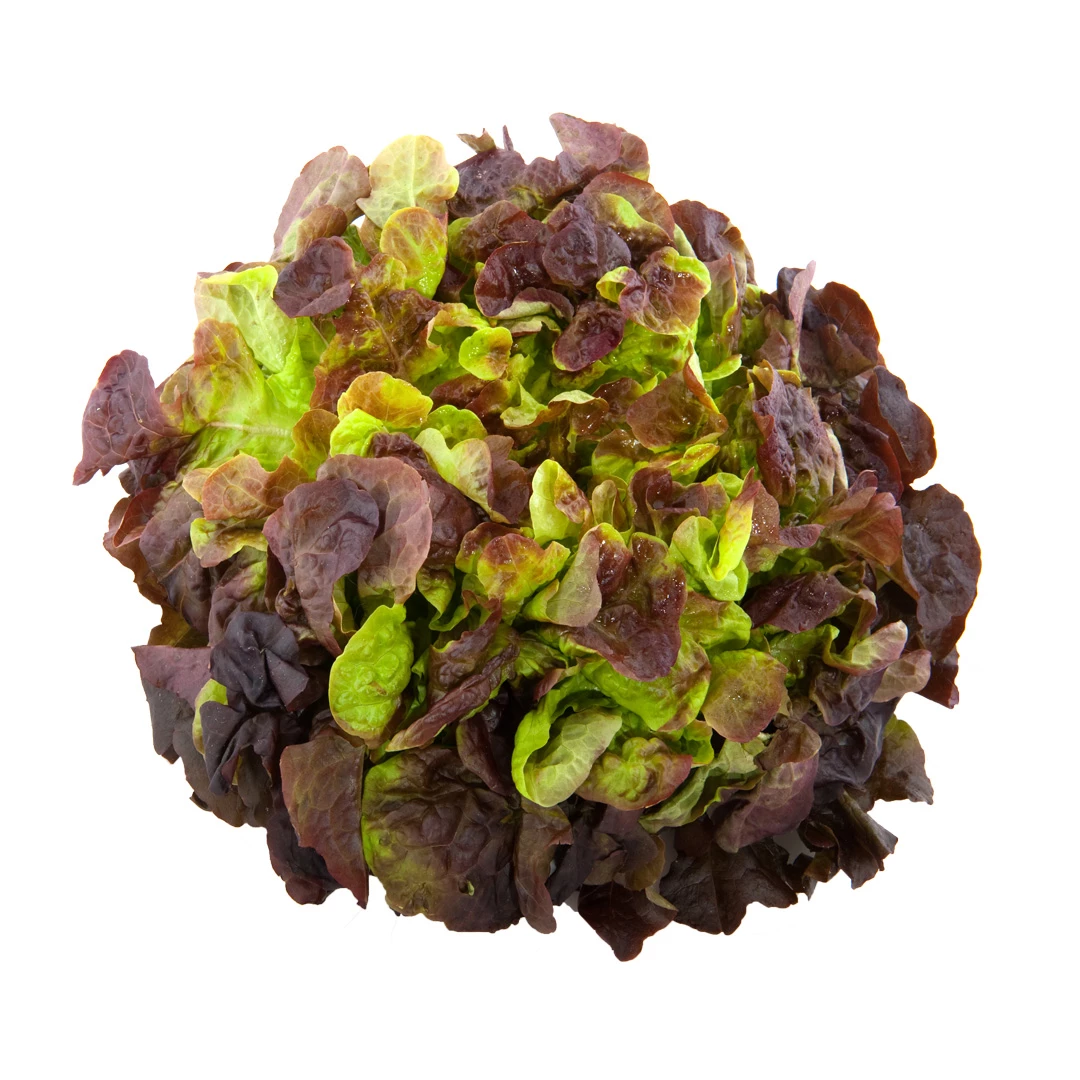 Rod ekblad 1080 1080