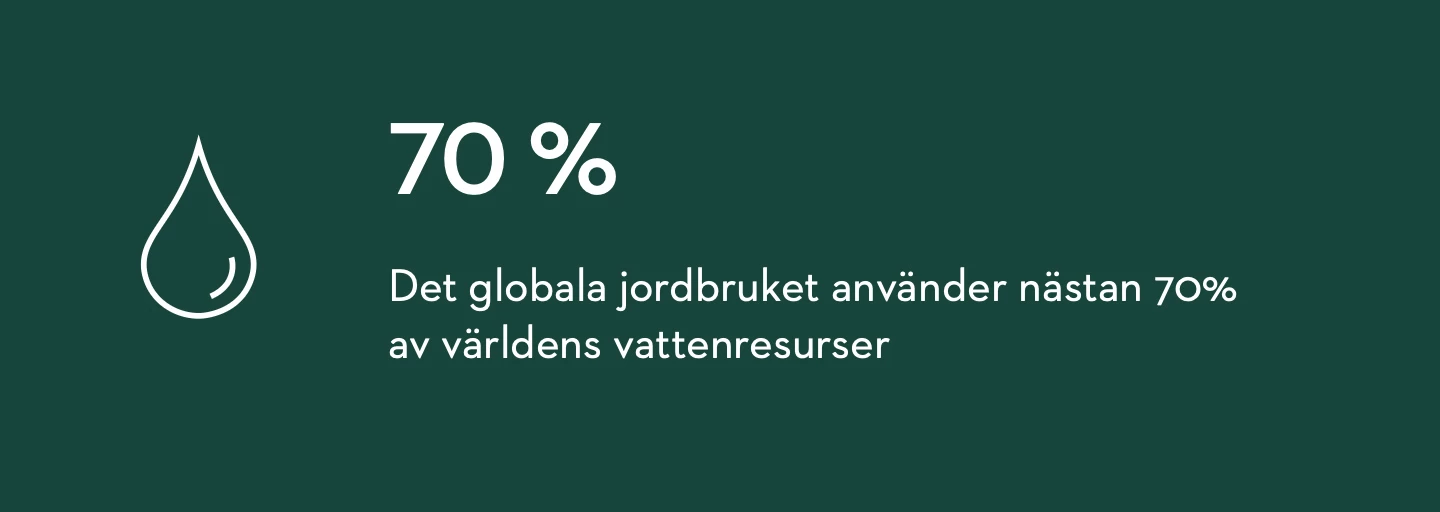 Artikel4 statistik