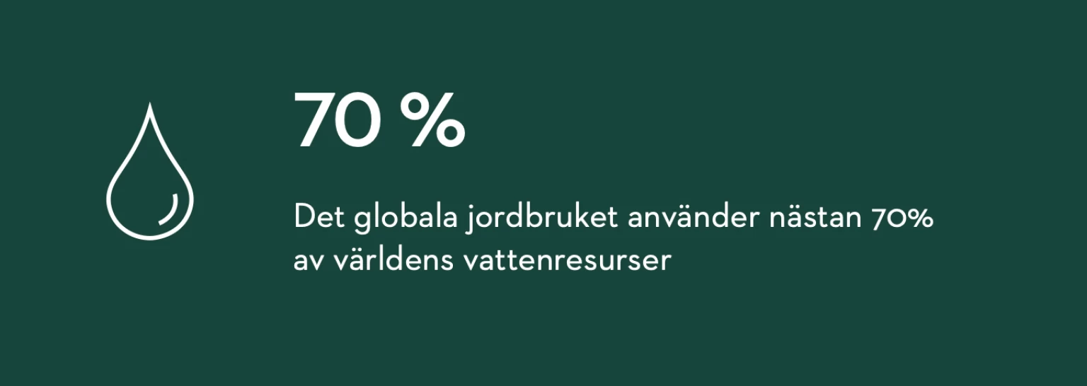 Artikel4 statistik
