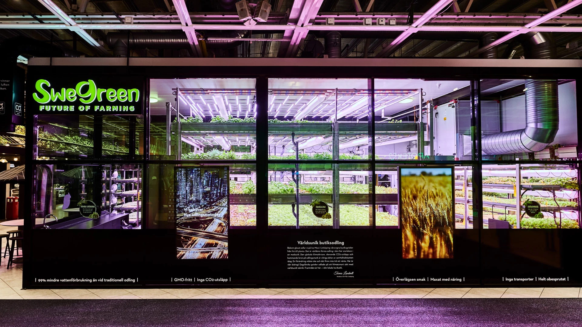 Foto på Freja i en butik