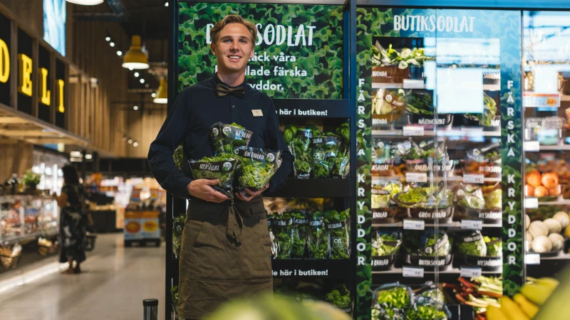 2560 1440 noll investering handlare