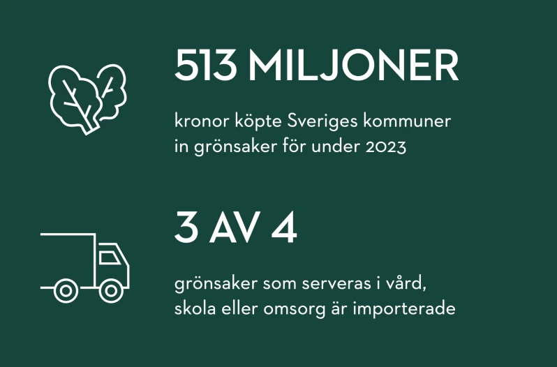 Artikel3 statistik